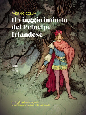 cover image of Il viaggio infinito del Principe Irlandese